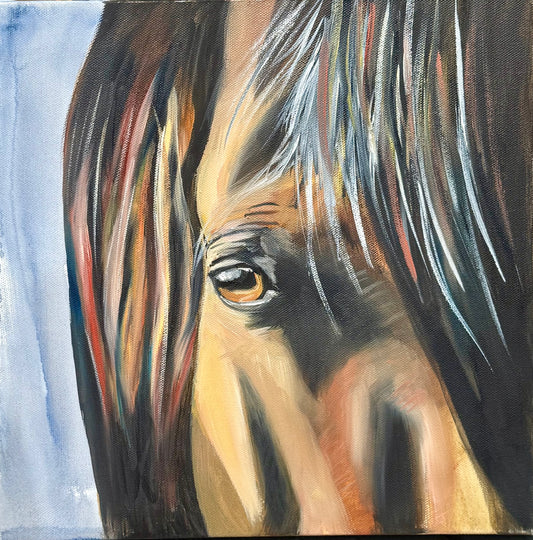 Eyes of the Storm